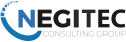 Negitec Consulting Group